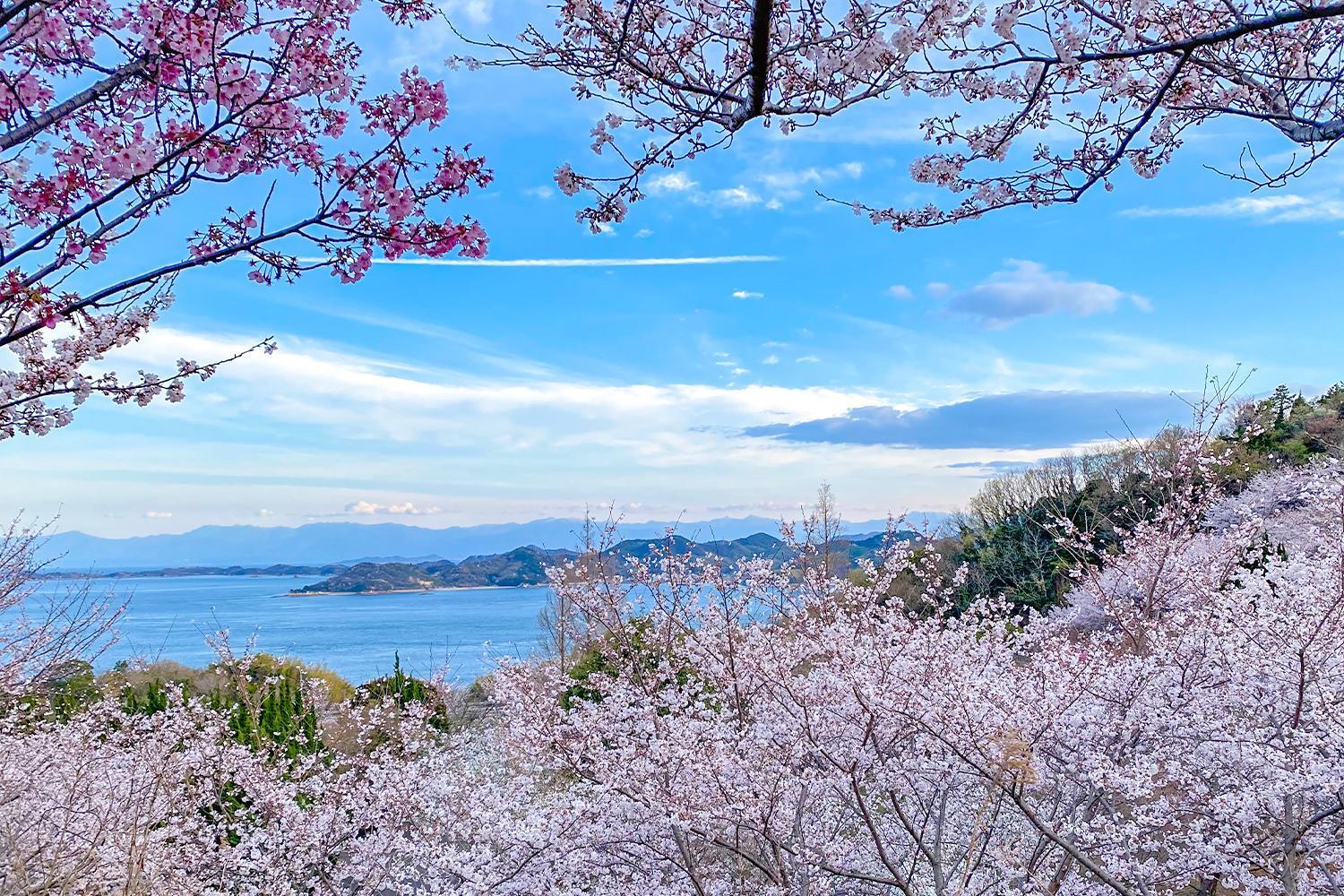 Villa Lemon Farm Glamping Simanami Onomichi Exterior foto